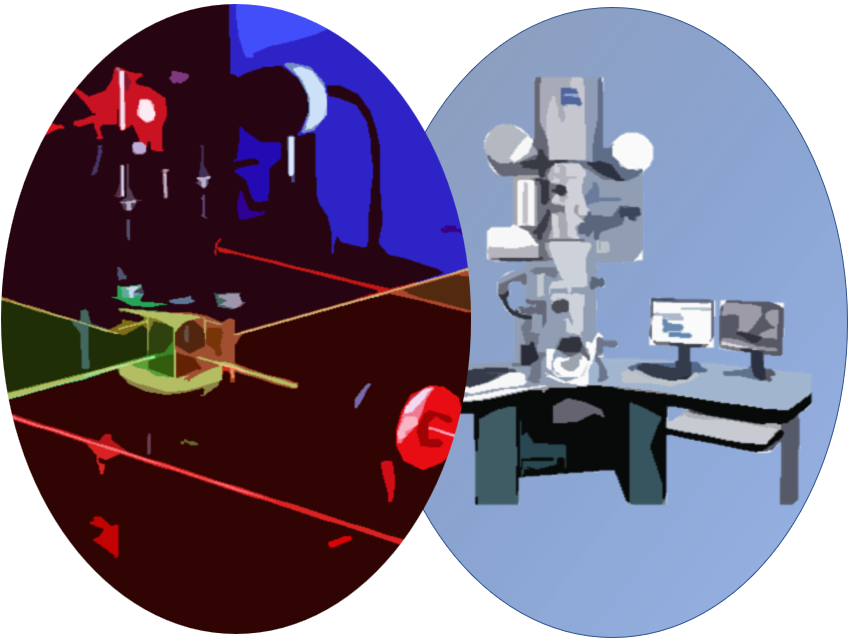 Projects - Haslinger Lab